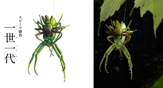 Illustration for article titled Bug Sex Book Sparks Surprising Controversy